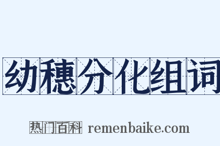幼穗分化组词是什么意思的图片